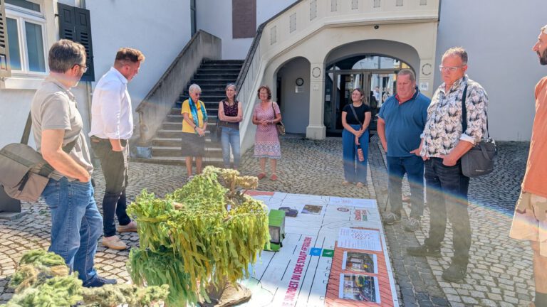 Mehr über den Artikel erfahren Weingartenstraße: Der große Plan bringt Bewegung in die Diskussion