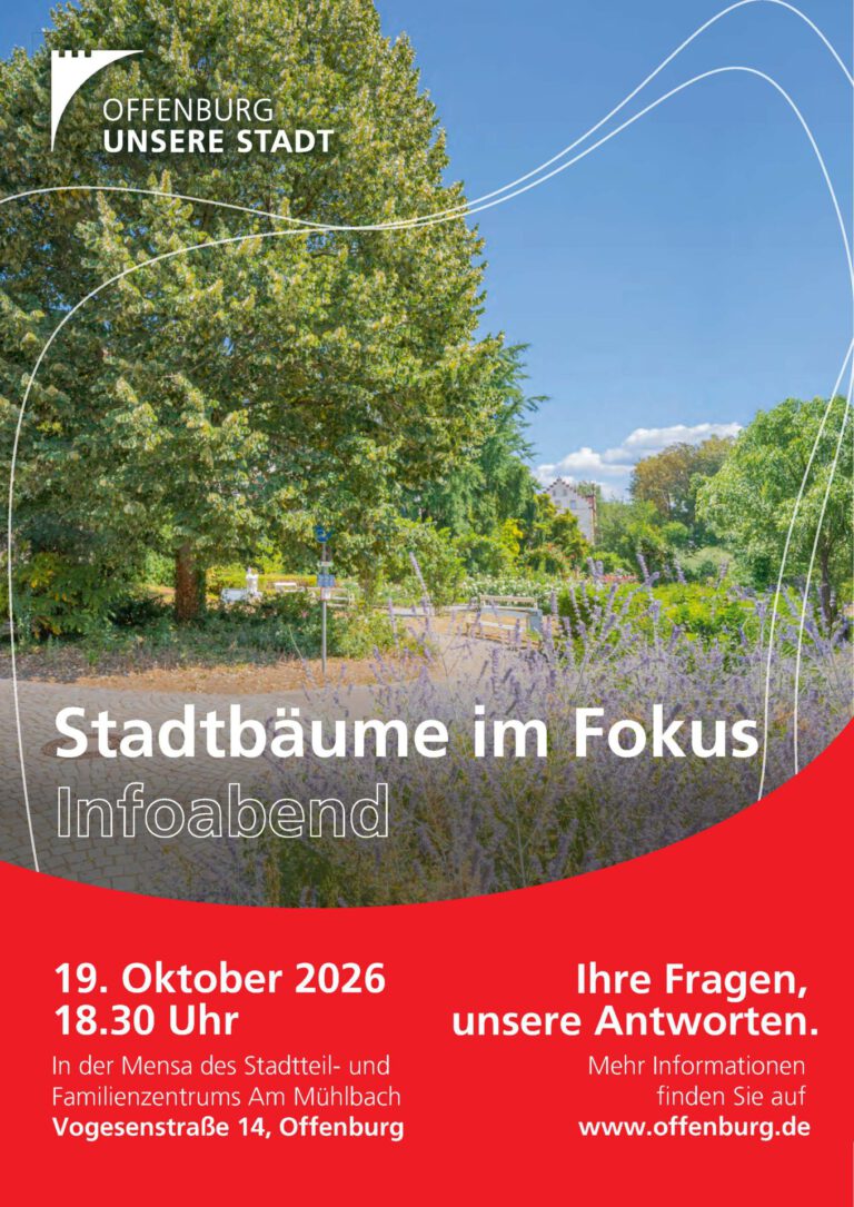 Mehr über den Artikel erfahren Stadtbäume im Fokus: Geht hin. Fragt nach. Redet mit.