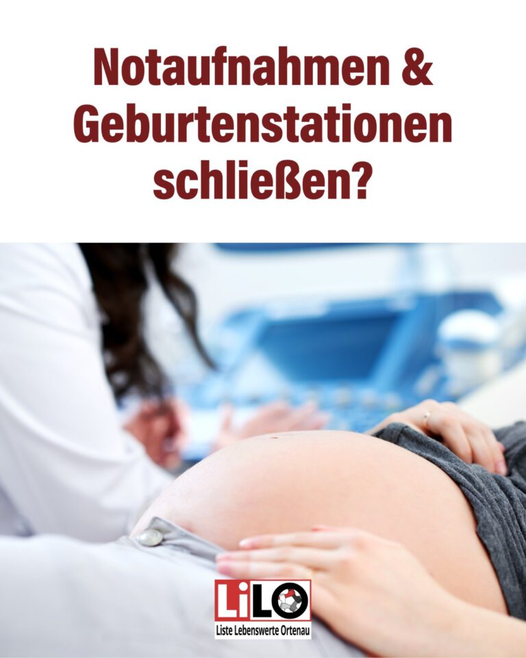 Mehr über den Artikel erfahren Gesundheitsversorgung sichern: Demonstration am 28. November in Offenburg